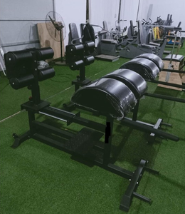 2022 Bán Chạy Thương Mại Cross Fit Rack Tập Thể Dục <span class=keywords><strong>Cardio</strong></span> Đào Tạo Ghế La Mã Cho Băng Ghế Dự Bị Glute Máy Trở Lại Hyper Mở Rộng - Product Image 6