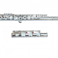 Wholesale Professional Silver-Plated Flute 17 Hole Performance Open Hole Closed Hole Dual Use Design WoodWind Instruments with E