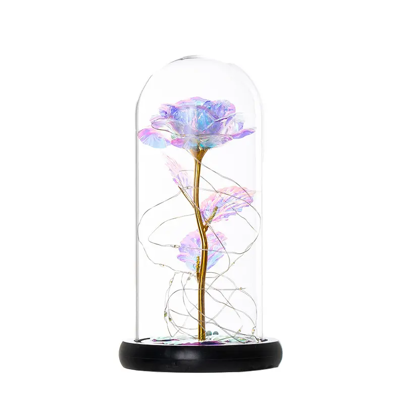 LED Beauty and The Beast Platinum Rose Gifts for Women Birthday Christmas Valentine's Day Anniversary Mother's Day