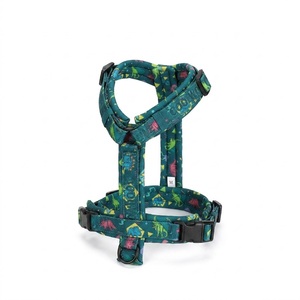 Arnés en Y con Clip Frontal, Correas Ajustables, Arnés para Perro Sin Tirones, Acolchado Suave y Duradero, Diseño Ergonómico en Forma de Y - Product Image 1