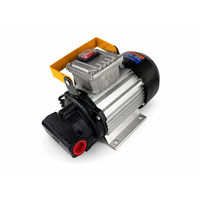 Pompe auto-amorçante électrique DC 750W haute puissance, débit élevé 70 litres par minute, aspiration 3M, 2800 tr/min, 220V 240V, huile de lubrification OEM