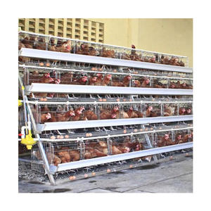 Poulailler de haute qualité pour poussins 500 couches état neuf - Product Image 2