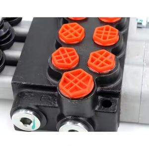 Válvula de Control Hidráulico Manual y con Joystick P40-G12-G38-OT-QTW |   Soluciones de Ingeniería Personalizadas, Colaboración OEM y ODM - Product Image 5