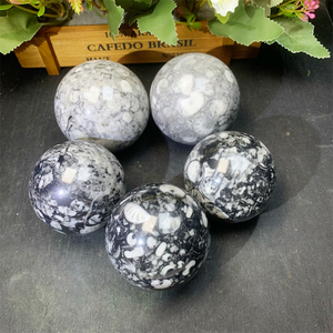Nouveautés naturelles, minéraux, fossile d'<span class=keywords><strong>orthoceras</strong></span> avec sphère de goniatite, ammonite pour cadeau - Product Image 2