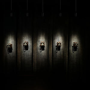 12W luce pendente a LED dimmerabile Design moderno in alluminio 48V illuminazione scalabile regolabile per negozio di vestiti arte supermercato - Product Image 3