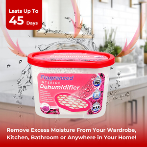 Absorbedor de Humedad Doméstico de 500 ml, <span class=keywords><strong>Deshumidificador</strong></span> para Armarios y Baños, Elimina la Humedad en la Temporada de Lluvias - Product Image 2