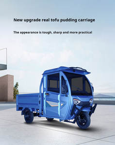 F yurtdışı ihracat indirimler elektrikli üç tekerlekli bisiklet üç tekerlekli bisiklet aksesuarları özelleştirme hizmeti ile gölgelik Trike motorsiklet - Product Image 5