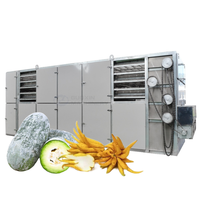 Équipement de séchage à bande maillée pour melon d'hiver, courge cirée et gingembre, modèle Buddha's Hand