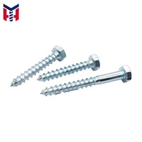 Hot Selling DIN571 4.8 Grade M4-M16 Zinc Plated Hexagon Wood Screw Wood Fastener