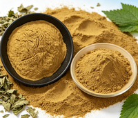 Extrait de marrue 70 % Silice, poudre d'Urtica Dioica testée HPLC, certifiée GMP, vente en gros, matière première nutraceutique en vrac, OEM ODM à base de plantes