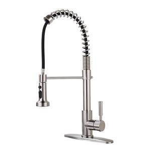 <span class=keywords><strong>Grifos</strong></span> <span class=keywords><strong>de</strong></span> fregadero <span class=keywords><strong>de</strong></span> cocina <span class=keywords><strong>de</strong></span> palanca única, contemporáneo, OEM, <span class=keywords><strong>grifos</strong></span> extraíbles, barra <span class=keywords><strong>de</strong></span> utilidad <span class=keywords><strong>de</strong></span> lavandería <span class=keywords><strong>de</strong></span> satén <span class=keywords><strong>de</strong></span> primavera - Product Image 1