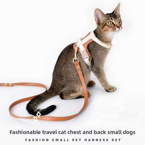 Nouveautés <span class=keywords><strong>Harnais</strong></span> de poitrine confortable <span class=keywords><strong>anti</strong></span>-dérapant pour petit <span class=keywords><strong>chien</strong></span> et chat Corde de <span class=keywords><strong>traction</strong></span> Collier pour animal de compagnie <span class=keywords><strong>Harnais</strong></span> pour petit <span class=keywords><strong>chien</strong></span> - Product Image 2