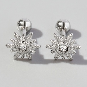 <span class=keywords><strong>Orecchini</strong></span> chirurgici in <span class=keywords><strong>acciaio</strong></span> inossidabile 316L bellissimi in argento Zirconia pietra preziosa in oro rodio per sposa <span class=keywords><strong>donna</strong></span> gioielli da sposa - Product Image 2