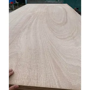 4*8 5 mm 9 mm 12 mm 18 mm okoume marine double sided decoration plywood production line for furniture