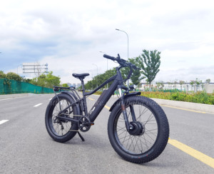Bicicleta Eléctrica de Doble Motor 48V 250W, Bicicleta de <span class=keywords><strong>Montaña</strong></span> con Llantas Gruesas de 26 Pulgadas, Bicicleta Eléctrica para Adultos - Product Image 6
