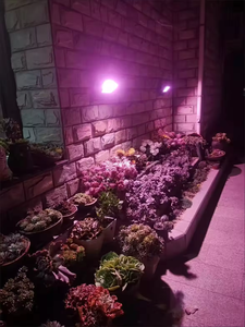 <span class=keywords><strong>Tube</strong></span> lumineux <span class=keywords><strong>LED</strong></span> solaire pour plantes d'intérieur et d'extérieur, spectre complet pour la croissance des plantes d'intérieur, des semis de fleurs et des plantes feuillues - Product Image 6