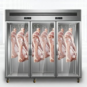Équipement <span class=keywords><strong>professionnel</strong></span> de <span class=keywords><strong>boucherie</strong></span> : Réfrigérateur de présentation de viande avec compartiments et congélateur - Product Image 6
