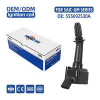 MIKEYA 555692530A Engine Ignition Coil for SAIC Roewe 360PLUS E950 ERX5 I6PLUS RX5 EMAX Auto Parts 12635672 12670053 H6T15471ZY