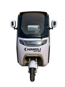 Vélo tricycle cargo électrique CHANGLI avec moteur de moyeu arrière et batterie au lithium 60V passagers transportant <span class=keywords><strong>deux</strong></span> <span class=keywords><strong>personnes</strong></span> - Product Image 5