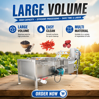 Bubble Cleaning Groente En Fruit Wasmachine Tomaat Fruit Wasmachine Machine