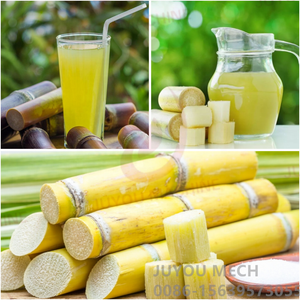 Máquina Manual para Hacer Jugo de Caña de Azúcar JUYOU, <span class=keywords><strong>3</strong></span> Rodillos, Máquina Procesadora de Exprimido de Caña de Azúcar, Extractor de Jugo de Caña de Azúcar de Escritorio - Product Image 6