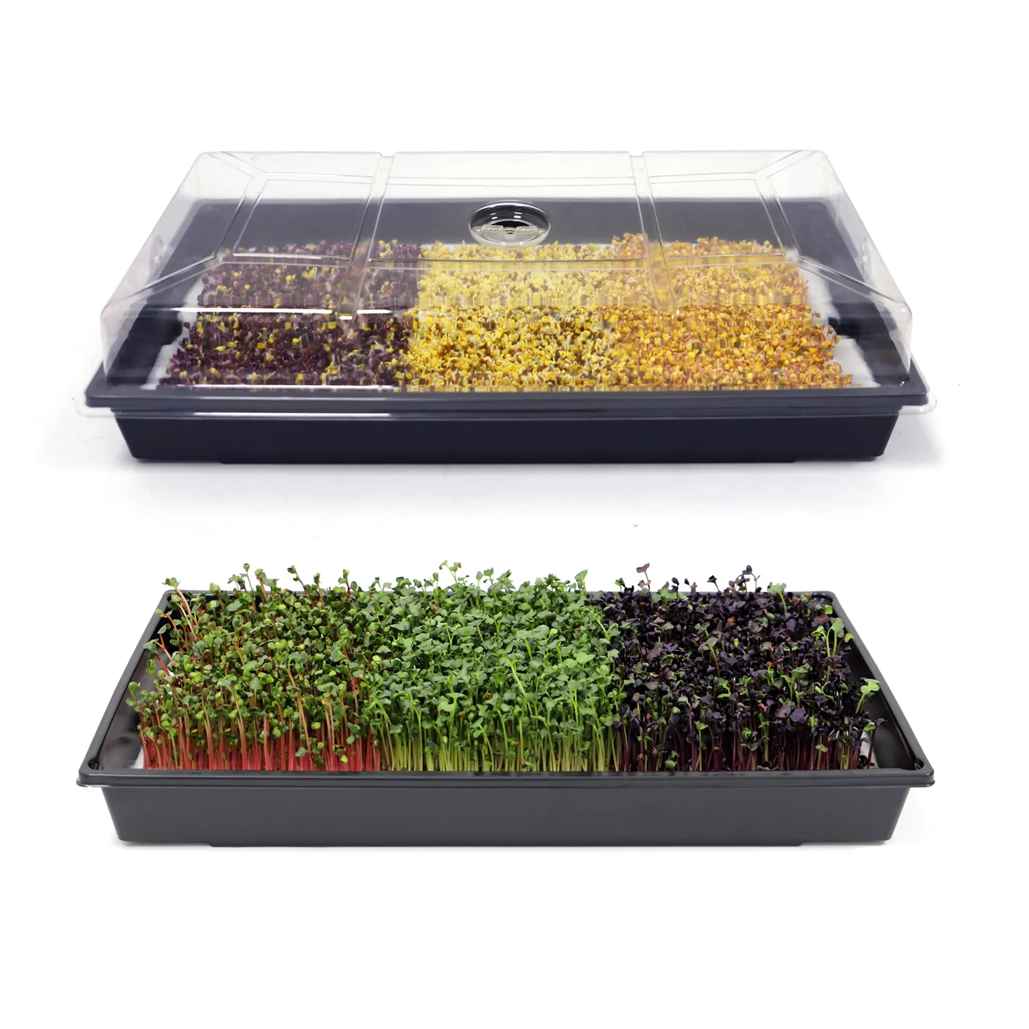 1020 vassoio di plastica Microgreen sostenibile piantatura propagazione crescere vassoi Kit con fori