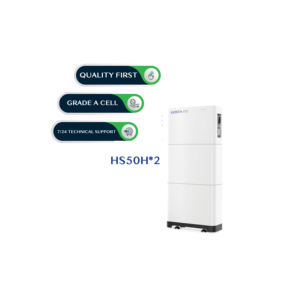 GOSTA HS50H x2 HS Series 2 ชิ้นPower Bank 102.4V 130AH BYDเซลล์ฟอสเฟตในตัวBMSอินเวอร์เตอร์Esss LiFePO4 แบตเตอรี่ - Product Image 1