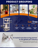 Boîte d'enrichissement et de grattage pour chats, alternative aux coupe-ongles et aux meuleuses, en carton, pour chats d'intérieur