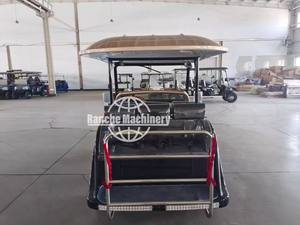 Buggy clásico de gasolina personalizado de 11 plazas para turismo, coche turístico Vintage, vehículo clásico eléctrico Vintage Tour - Product Image 2