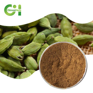 Bán buôn cấp thực phẩm thảo quả chiết xuất thảo dược bột chiết xuất dung môi 99% hoạt chất bao bì chai - Product Image 1