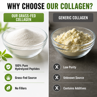 Collagène bovin nourri à l'herbe en poudre, peptides de collagène de type I et III hydrolysés pour la récupération musculaire, la densité osseuse et la régénération cutanée