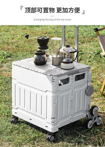 Carrito de Compras Plegable Portátil de Plástico con 4 Ruedas, Colorido, para Camping, Marca Proins, Venta al Por Mayor - Product Image 4