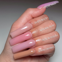 IPHF OEM ODM Palette de poudre acrylique rose et violet vif, fournitures pour ongles en vrac pour usage en salon