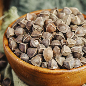 Alta qualidade natura loleifera secos compradores a granel preço moringa sementes para venda - Product Image 6