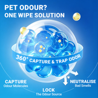 Formule sûre pour les animaux de compagnie, détergent liquide nettoyant en profondeur aux pommes croustillantes, doux et non agressif, pour sols.