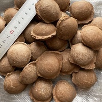 CHAOKUN Matériau granulaire en boules d'argile bentonite standard pour l'étanchéité, le colmatage et le remblaiement de puits