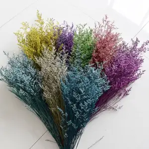 Preserved Foliage Sea Lavender Immortal Flower Plant Limonium For Flower Arrangement Preserved Sea Lavender