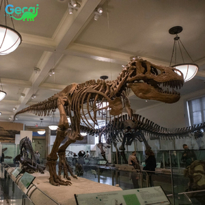 Gecai Museum Modèle de <span class=keywords><strong>squelette</strong></span> de dinosaure grandeur nature personnalisé T-rex fossile - Product Image 3