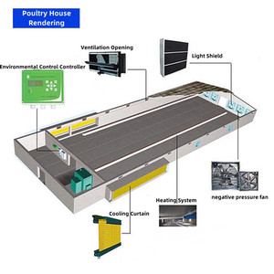 Nuevo Sistema Automático de Jaulas para Aves de Corral en Forma de H de Múltiples Niveles, Alojamiento Eficiente para Gallinas Ponedoras para la Producción de <span class=keywords><strong>Huevos</strong></span> a Gran Escala, Ahorro de Espacio - Product Image 6