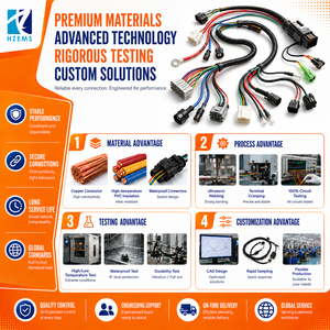HZEMS Özel Elektrikli Motosiklet Kablo Demeti Montajı Komple Araç Kablo Sistemi Dongguan Üretim Fabrikası - Product Image 5
