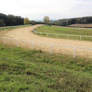 Panneaux de clôture <span class=keywords><strong>pour</strong></span> <span class=keywords><strong>chevaux</strong></span> en PVC bon marché, palissade en plastique blanc, 4x8, poteaux en vinyle <span class=keywords><strong>pour</strong></span> ranch, ferme et jardin - Product Image 3