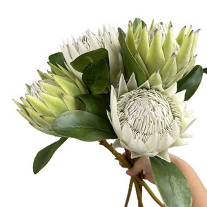 Grande Fleur Empereur Fleur Artificielle Fine Imitation Lotus Français pour la Décoration de la Maison Mariage Art Floral Floqué Aménagement Paysager en Ligne - Product Image 5
