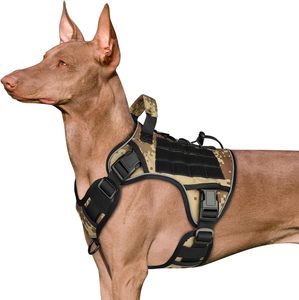 Conjunto de arnés y correa para perros grandes de muestra gratis, chaleco de entrenamiento para pastor alemán Malinois, Collar para medianos - Product Image 1