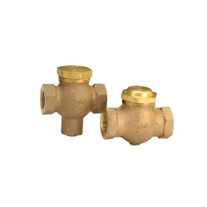 China Wholesale Auto Metal Seat Y Type Forged Check Valve