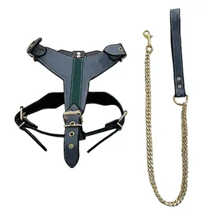 Alta qualidade M-XL Waterproof Pet Designer Harness E Leash Set Cuban Link Dog Coleiras Leads Pu Couro Bull Dog Acessório