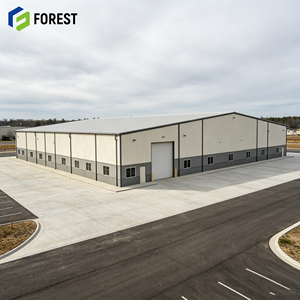 Edificio de Estructura de Acero Modular sin Columnas de Alta Resistencia, Almacén de Almacenamiento de Mercancías Comerciales de Gran Espacio - Product Image 1