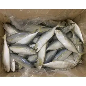 高品質のiqf冷凍インドサバ魚