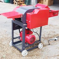 Broyeur de paille à double usage (humide et sec) sans installation requise, pour l'alimentation des bovins, des moutons et du bétail, avec moteur en cuivre