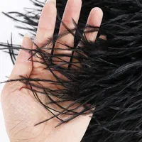 1M de plumes d'autruche blanches teintées et duveteuses, franges de 8-10cm, ruban de plumes pour décoration de mariage, fête, robe, vêtements, couture et artisanat