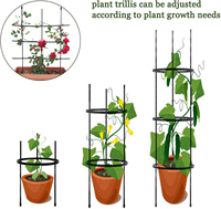 Cage à tomates en acier galvanisé robuste Cage à plantes en plastique pour piquets de tomates Treillis conique Cadre de support pour plantes grimpantes
